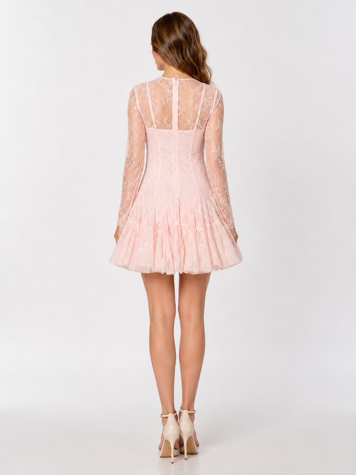 Blush Lace Skater Mini Dress